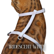 Iridescent Collection- sold separately Hands Free Leash, Escape Proof Harness & collars