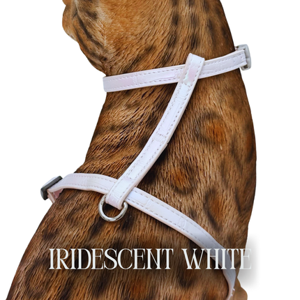 Iridescent Collection- sold separately Hands Free Leash, Escape Proof Harness & collars