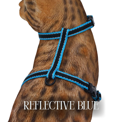 Reflective Harness Collection Escape Proof