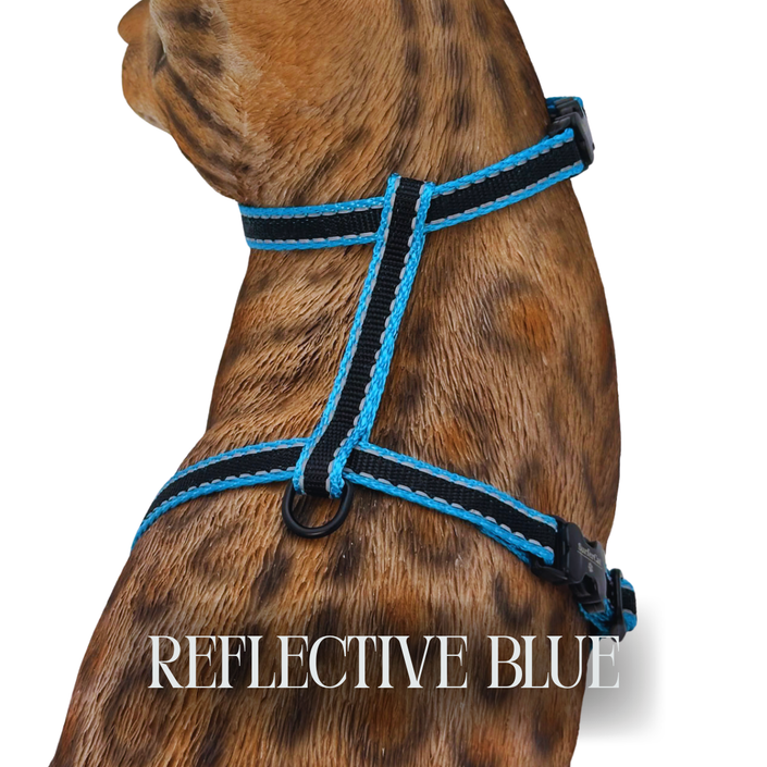 Reflective Harness Collection Escape Proof