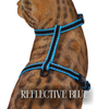 Reflective Harness Collection Escape Proof