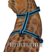 All Harnesses & Collections