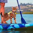 Cat Life Jacket