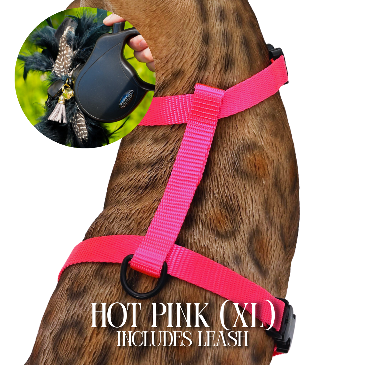 Leash and Harness Set