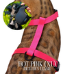 Leash and Harness Set
