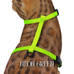 Solid Colors - Escape Proof Harness