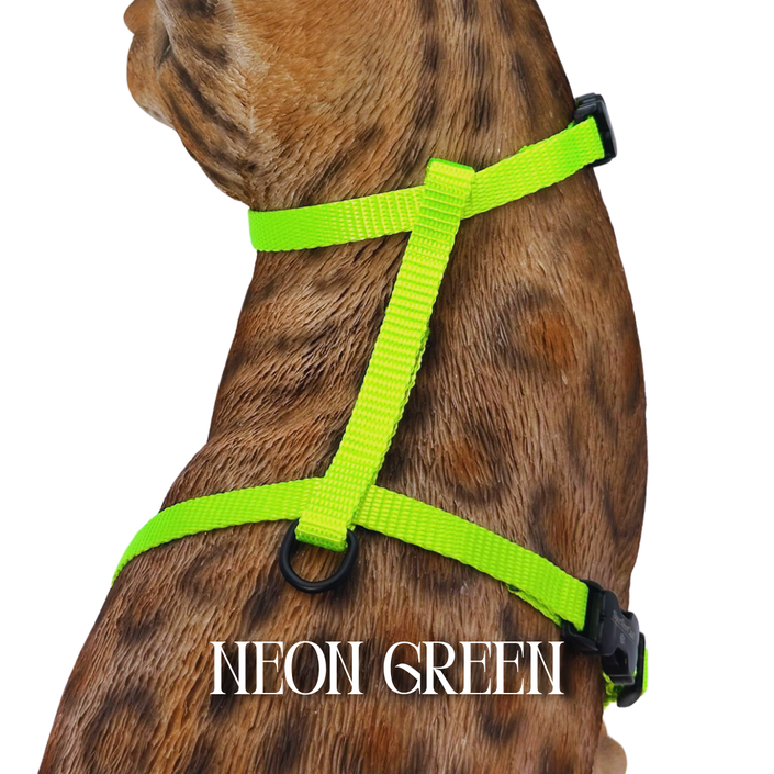 Solid Colors - Escape Proof Harness