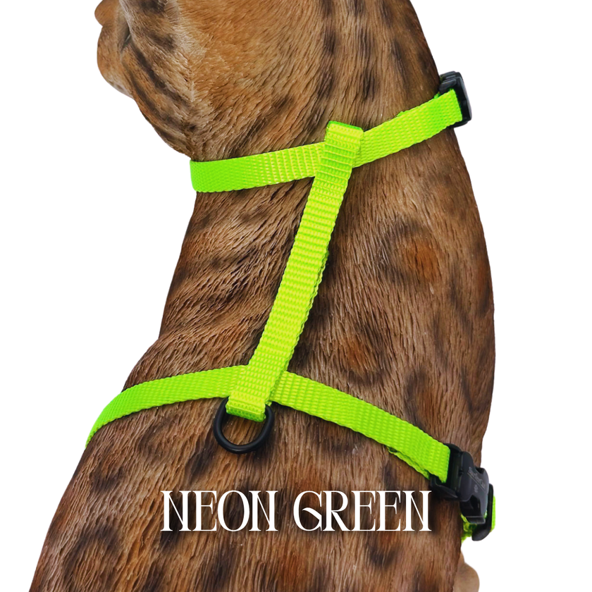 Solid Colors - Escape Proof Harness