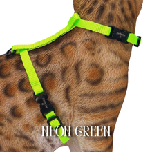 Load image into Gallery viewer, Solid Colors - Escape Proof Harness
