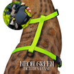 Leash and Harness Set