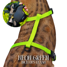 Load image into Gallery viewer, Leash and Harness Set

