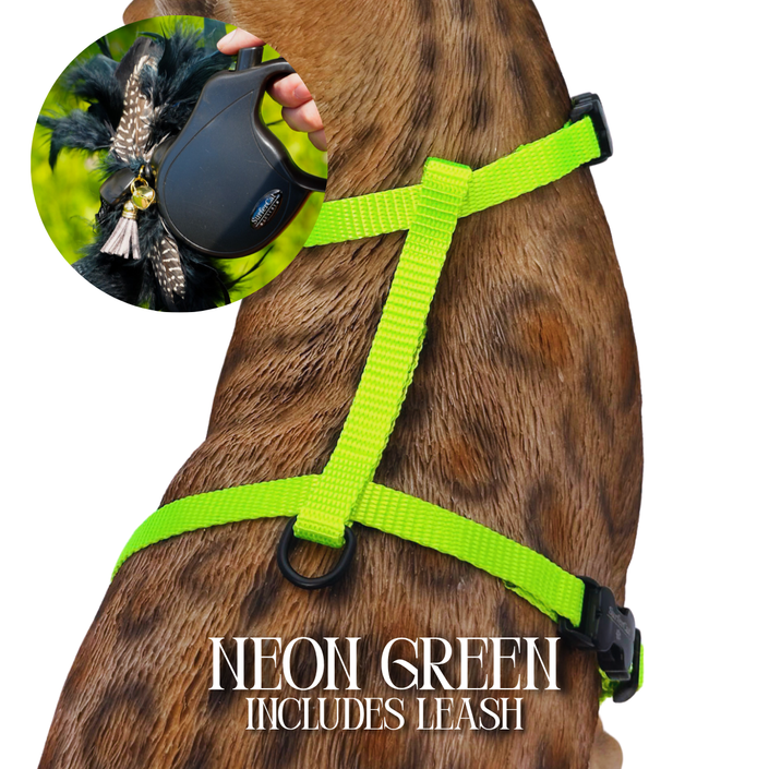 Leash and Harness Set