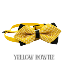 Load image into Gallery viewer, Bowtie Harness Collection
