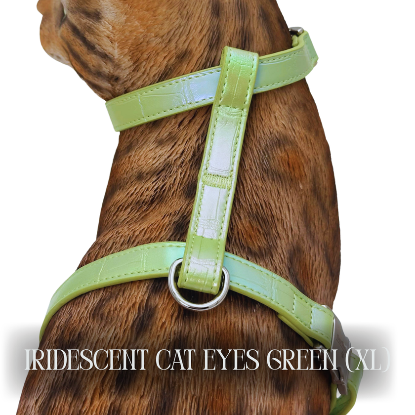 Iridescent Collection- sold separately Hands Free Leash, Escape Proof Harness & collars