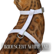 Iridescent Collection- sold separately Hands Free Leash, Escape Proof Harness & collars