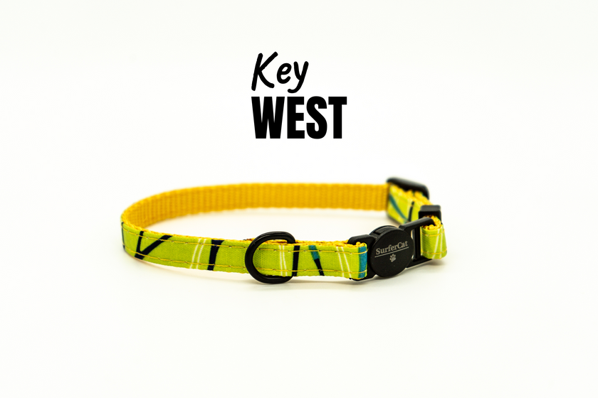 Breakaway Collar