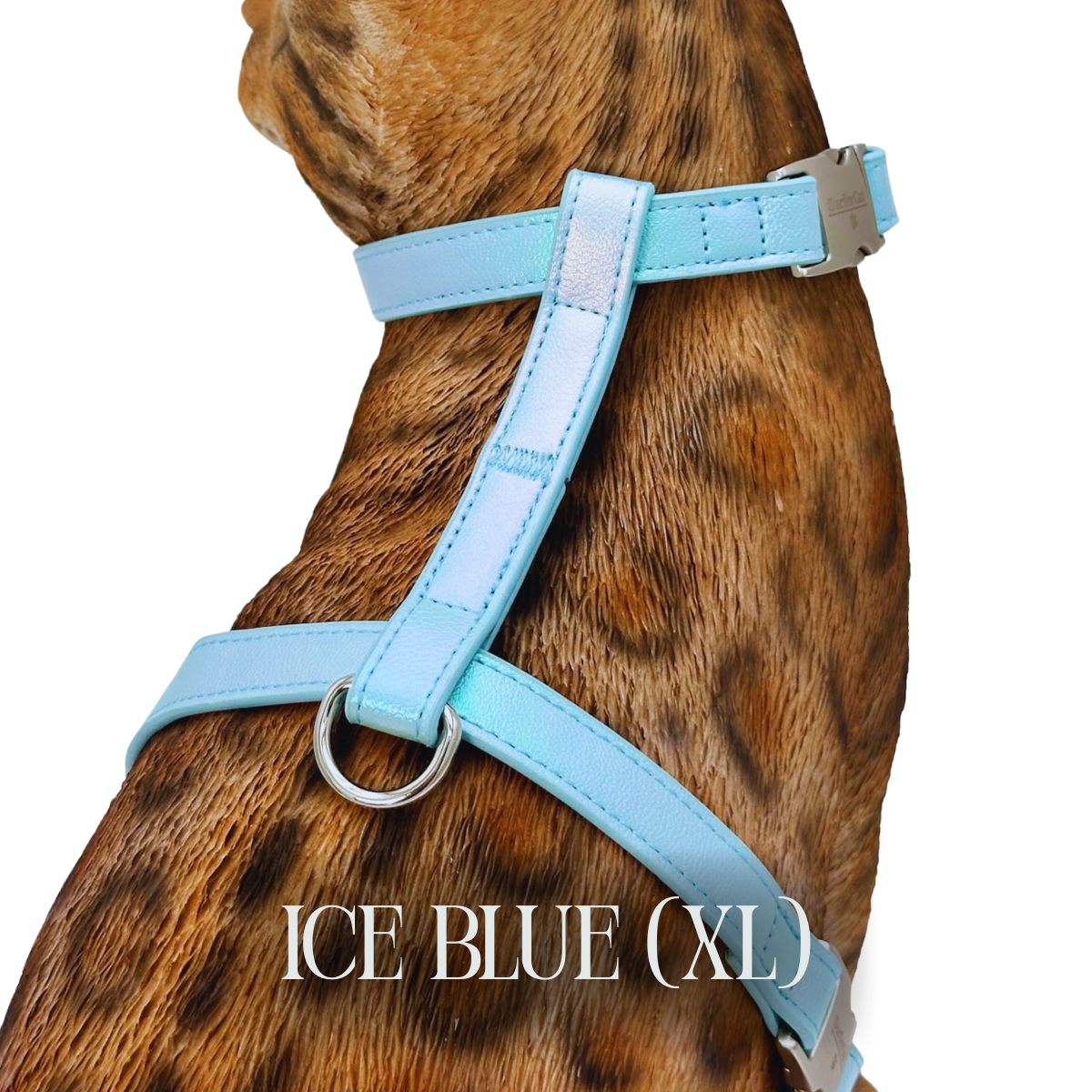Iridescent Collection- sold separately Hands Free Leash, Escape Proof Harness & collars