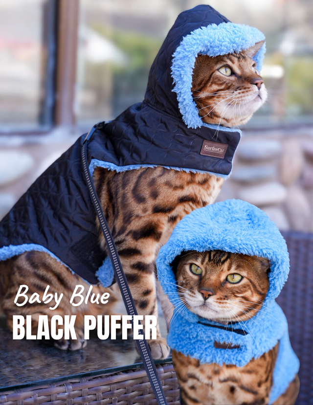 Hideaway Hoodie Collection - Reversible Cat Jacket