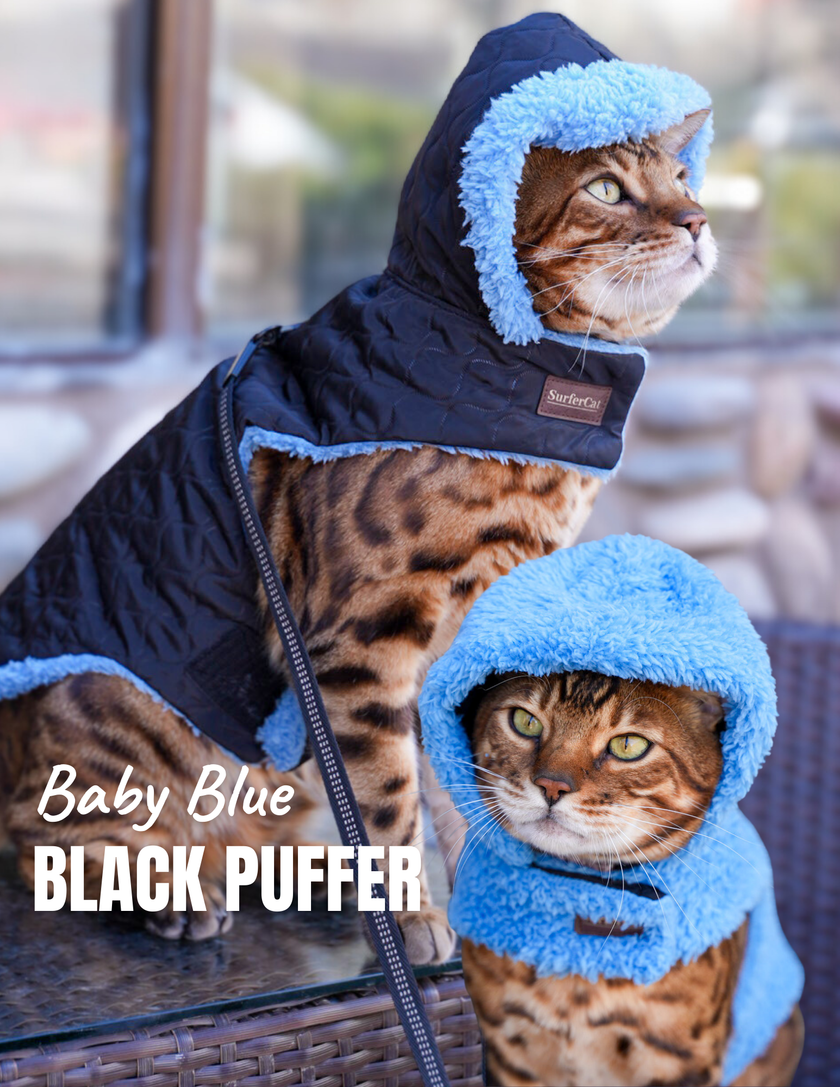 Hideaway Hoodie Collection - Reversible Cat Jacket