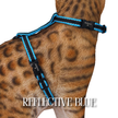 All Harnesses & Collections