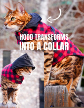 Load image into Gallery viewer, Cat Jacket Hideaway Hoodie Coat
