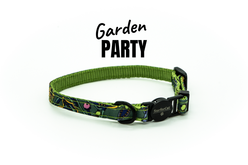 Breakaway Collar
