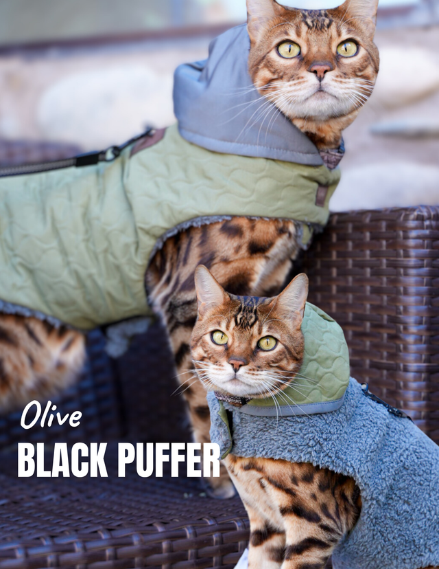 Hideaway Hoodie Collection - Reversible Cat Jacket