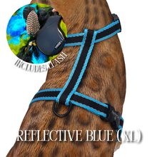 Load image into Gallery viewer, XL Harness &amp; Leash Set
