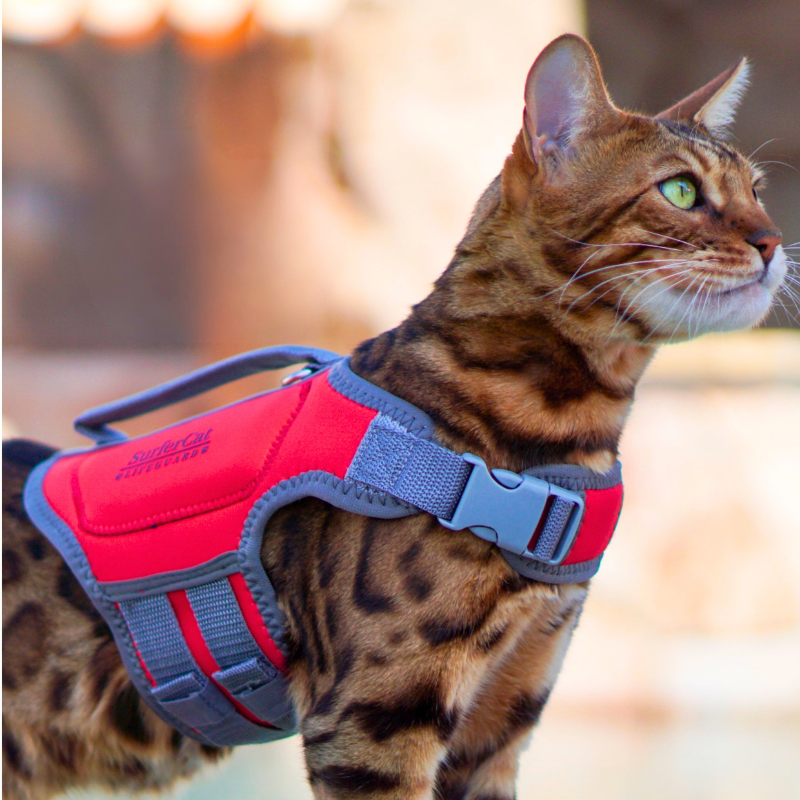 Cat Life Jacket