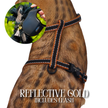 Leash and Harness Set