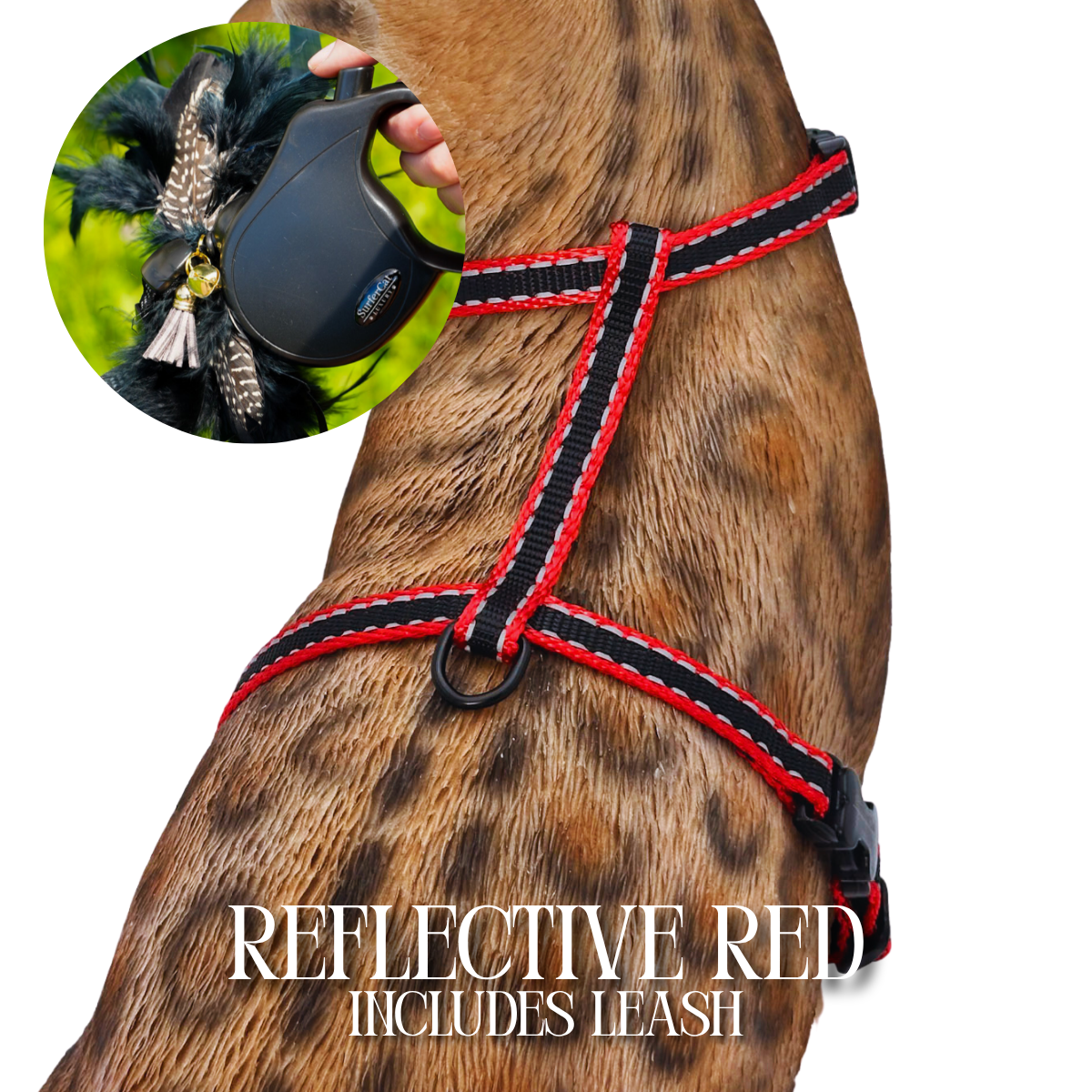 Leash and Harness Set