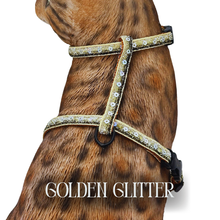 Load image into Gallery viewer, White Dipped in Gold Leash Trainer &amp; Golden Glitter Harness Set

