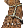 All Harnesses & Collections