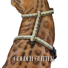 Load image into Gallery viewer, Rugged Glitter Collection - Escape-Proof Harness
