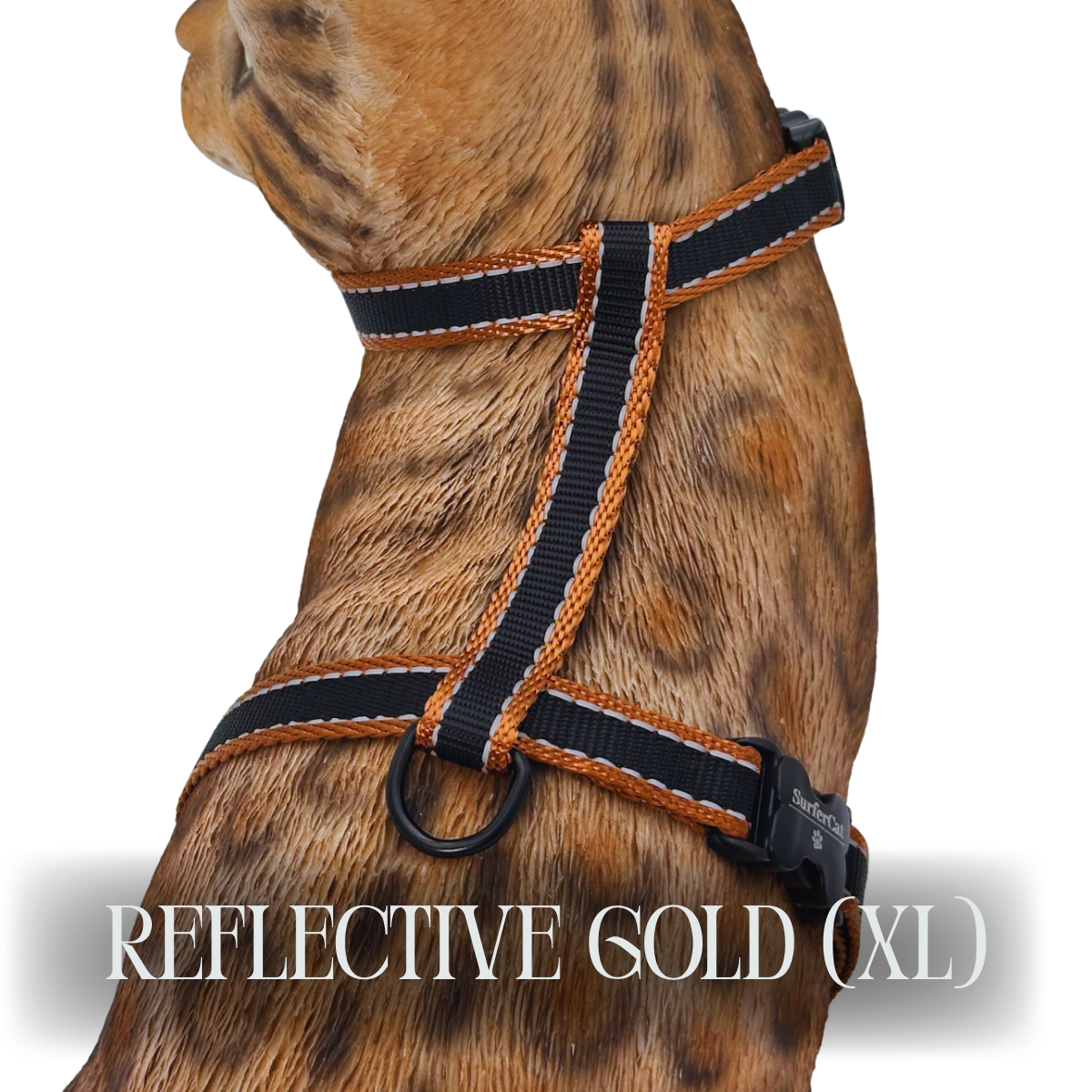 Reflective Harness Collection Escape Proof