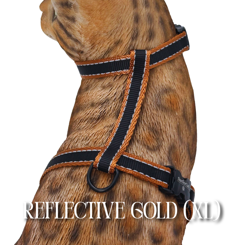 All Harnesses & Collections