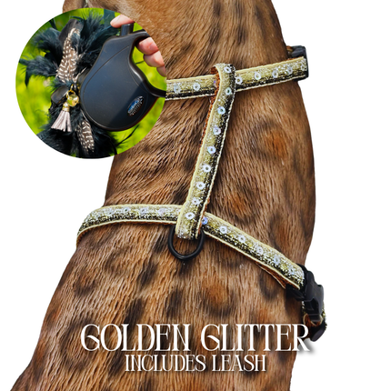 Leash and Harness Set