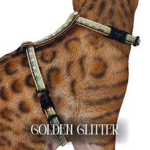 Load image into Gallery viewer, White Dipped in Gold Leash Trainer &amp; Golden Glitter Harness Set
