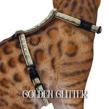 Load image into Gallery viewer, Rugged Glitter Collection - Escape-Proof Harness
