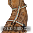 White Dipped in Gold Leash Trainer & Golden Glitter Harness Set