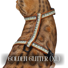 Load image into Gallery viewer, White Dipped in Gold Leash Trainer &amp; Golden Glitter Harness Set

