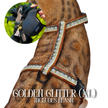 Leash and Harness Set