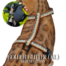 Load image into Gallery viewer, XL Harness &amp; Leash Set
