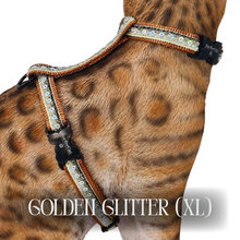 Load image into Gallery viewer, White Dipped in Gold Leash Trainer &amp; Golden Glitter Harness Set
