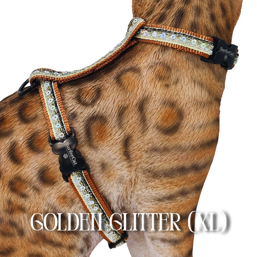 All Harnesses & Collections