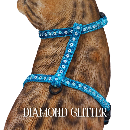 All Harnesses & Collections
