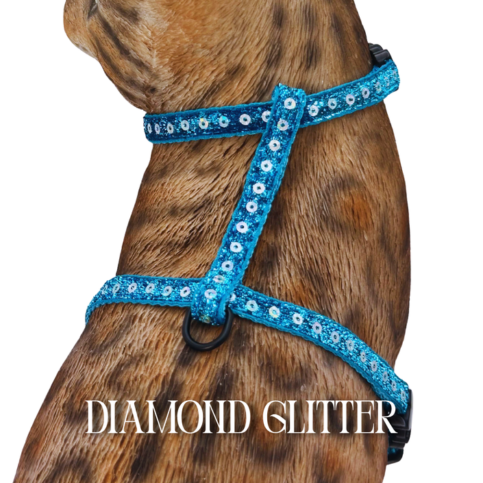 All Harnesses & Collections