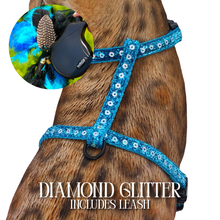 Load image into Gallery viewer, Leash and Harness Set
