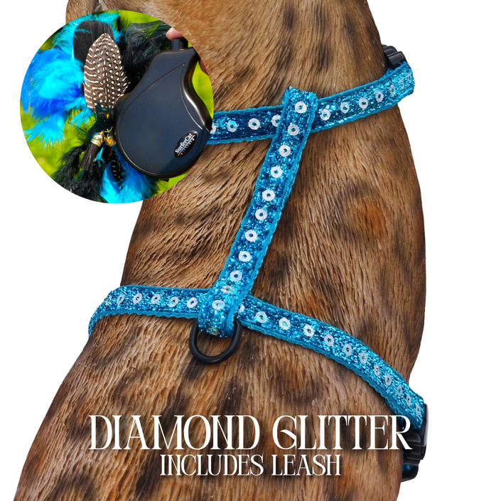 Leash and Harness Set