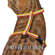 All Harnesses & Collections